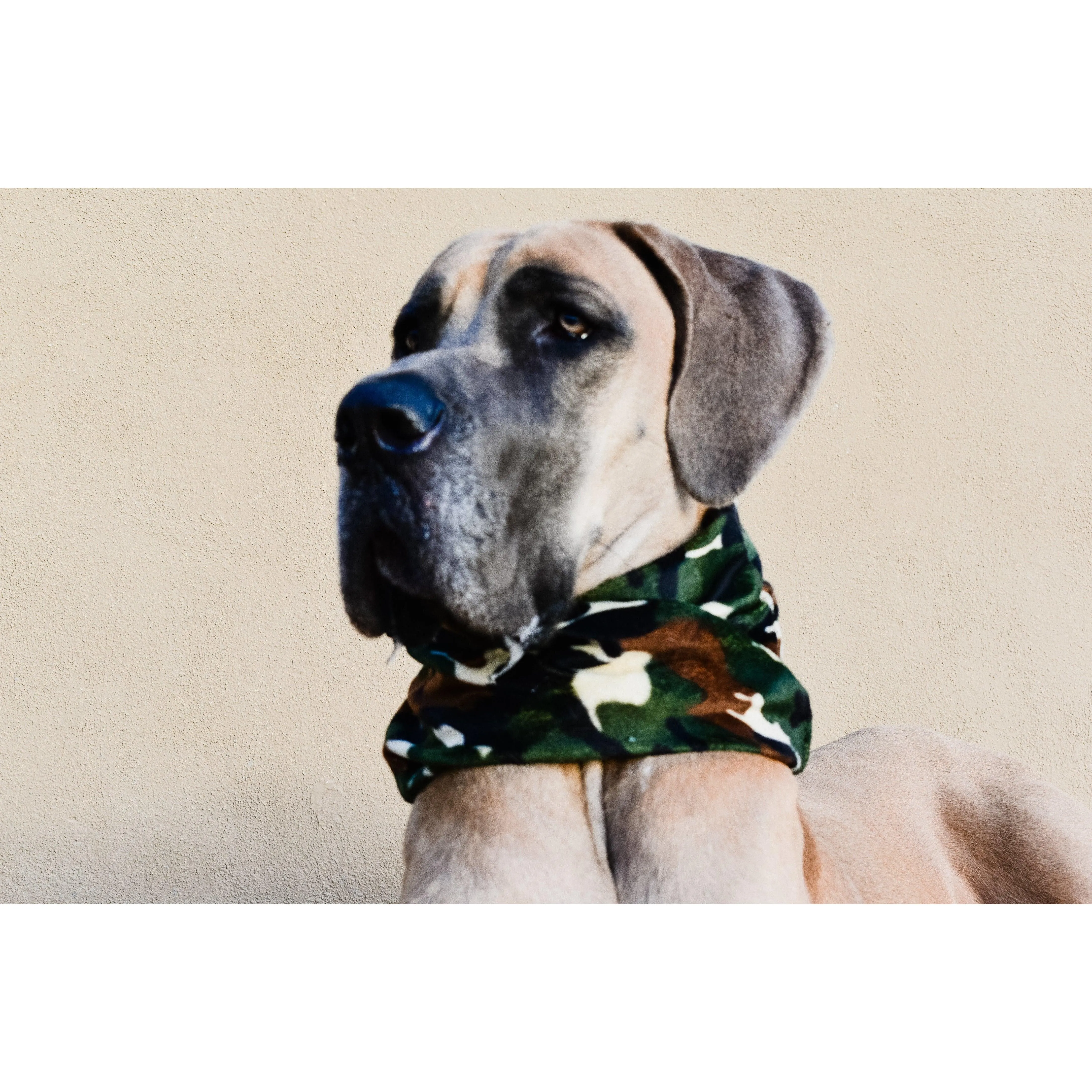 Can't See Me Camo Dog Scarf by Dope Dog Co