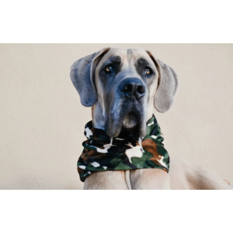 Can't See Me Camo Dog Scarf by Dope Dog Co