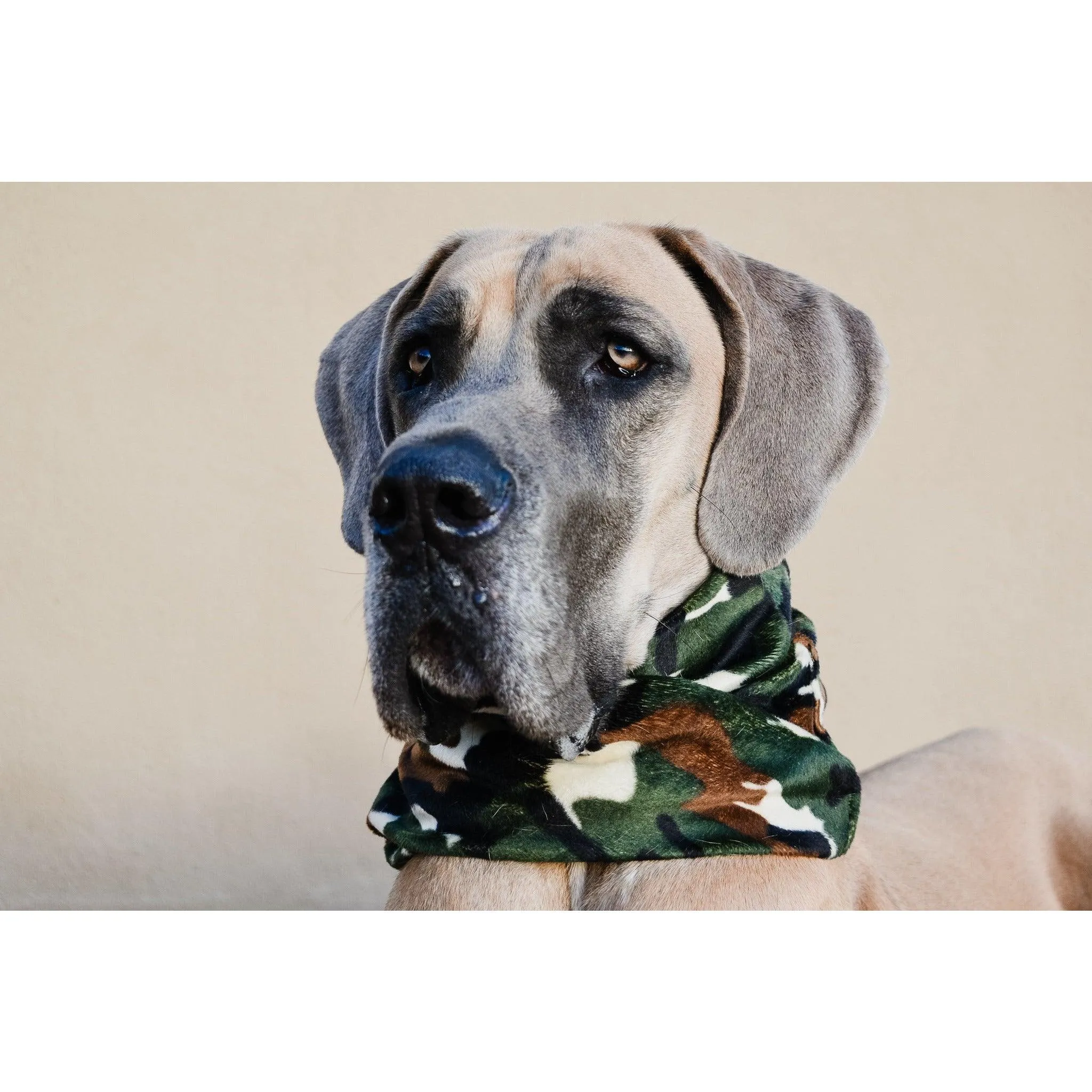 Can't See Me Camo Dog Scarf by Dope Dog Co