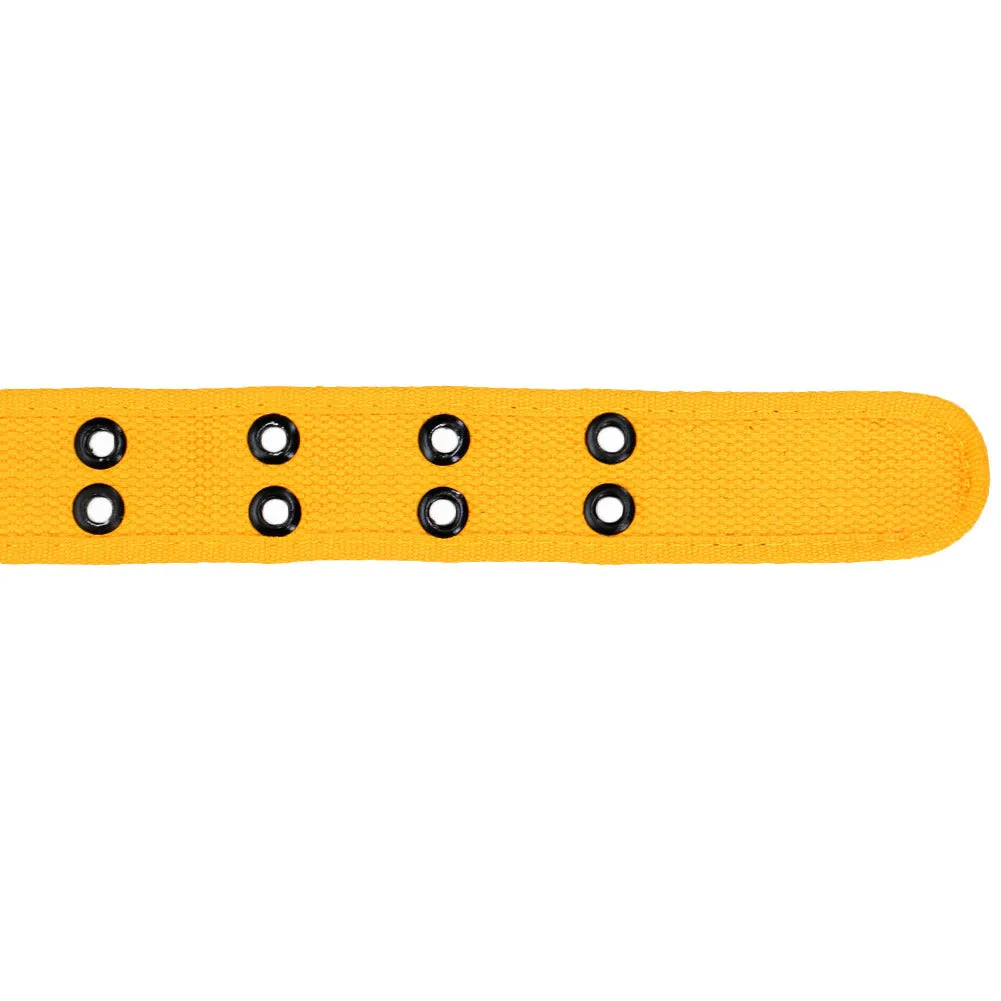 Golden Yellow Double Grommet Belt